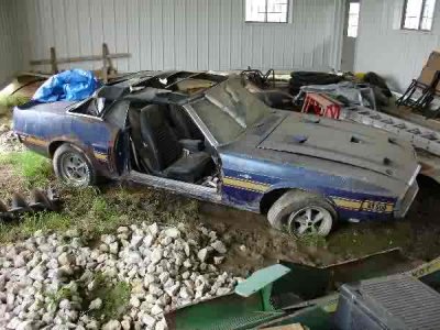 69shelby.jpg