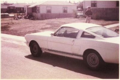steelwheeledshelby.jpg