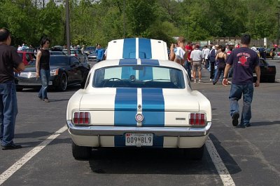 459321095303_0_BG.jpg