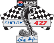 shelby427_09_250x150.png