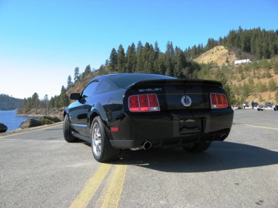 Shelby 006.jpg
