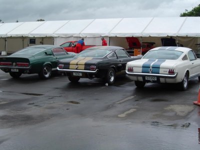 Whitakers Races 008.jpg