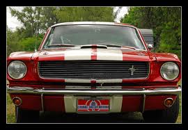 Shelby License Plate.jpg