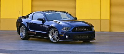 Shelby_1000.jpg