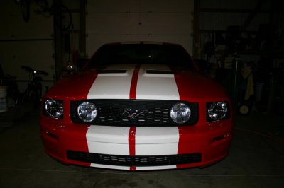 Shelbyhood 002.jpg