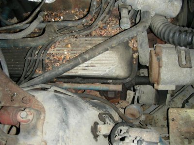 DSCN1230.jpg