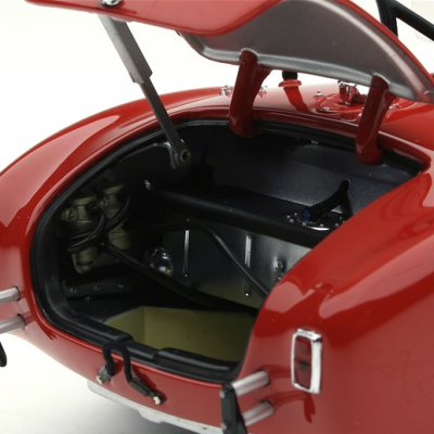 RLG18125-trunk.png
