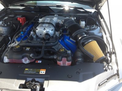 gt5003.JPG