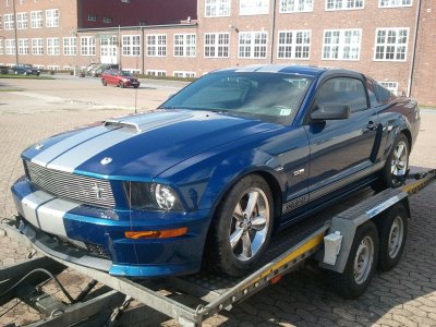 Kopie von Shelby-GT-03.jpg