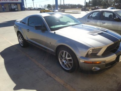 shelby 4.jpg