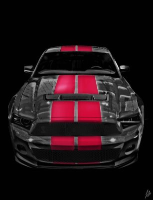 shelby1 copy.jpg