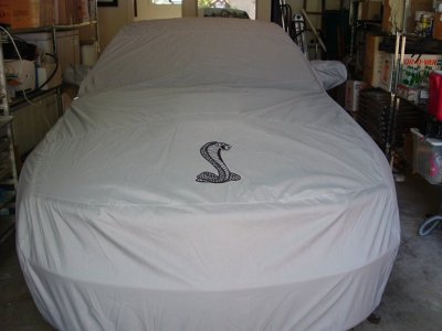 Mustang Shelby GT 012.jpg