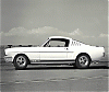 A1965GT350