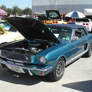 DSCN2501