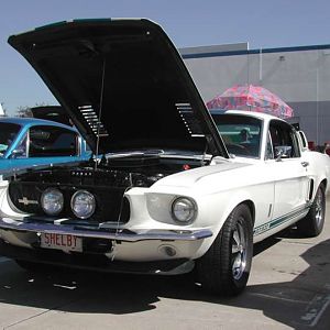 DSCN2506