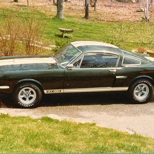 GT 350