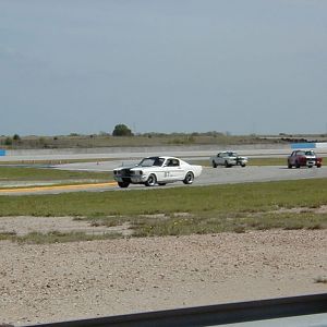 P1010016