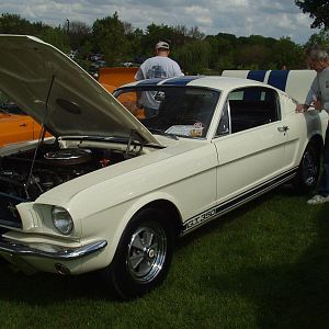 Volo Shelby Show