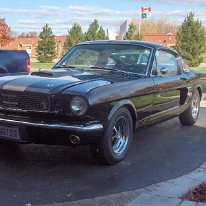 my 66shelby hertz gt350h