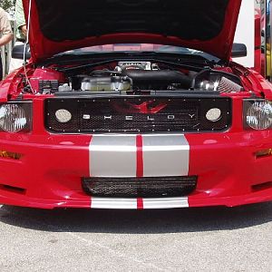 Shelby GT at Barrett Jackson Palm Beach