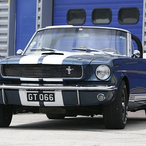 Some french Shelby's on the Dijon race track (June 2007)