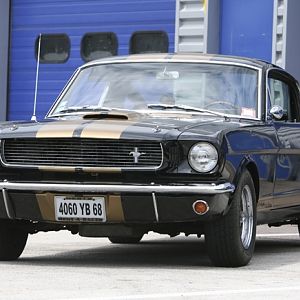 Some french Shelby's on the Dijon race track (June 2007)