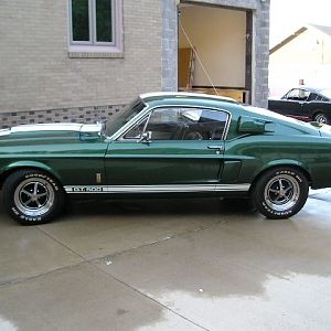 my 67 gt 500