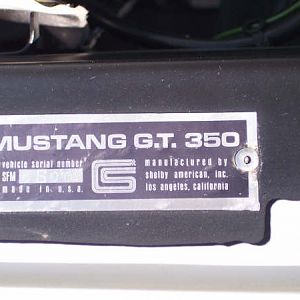 Member Album by g350t