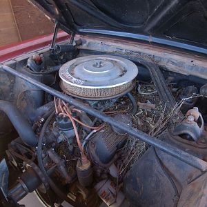 Missing 1966 GT350?