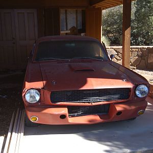 Missing 1966 GT350?