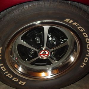 Painted Magnum 500's