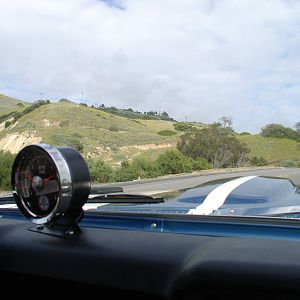 Shelby Drive