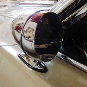 Shelby Details