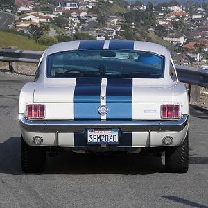 1966 Shelby G.T. 350
