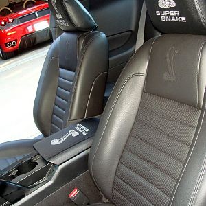 FoxsSuperSnake