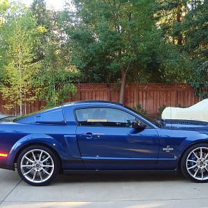 FoxsSuperSnake