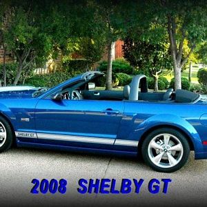 9.29.09.sheby 001.forumr