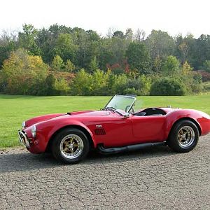 My Cobra