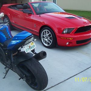 My 2008 Gt500