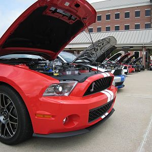 Shelby Shootout 2011