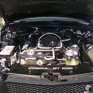 Black Cobra