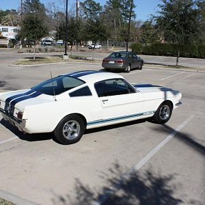 1966 GT 350 Clone