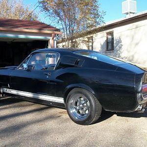 Shelby1