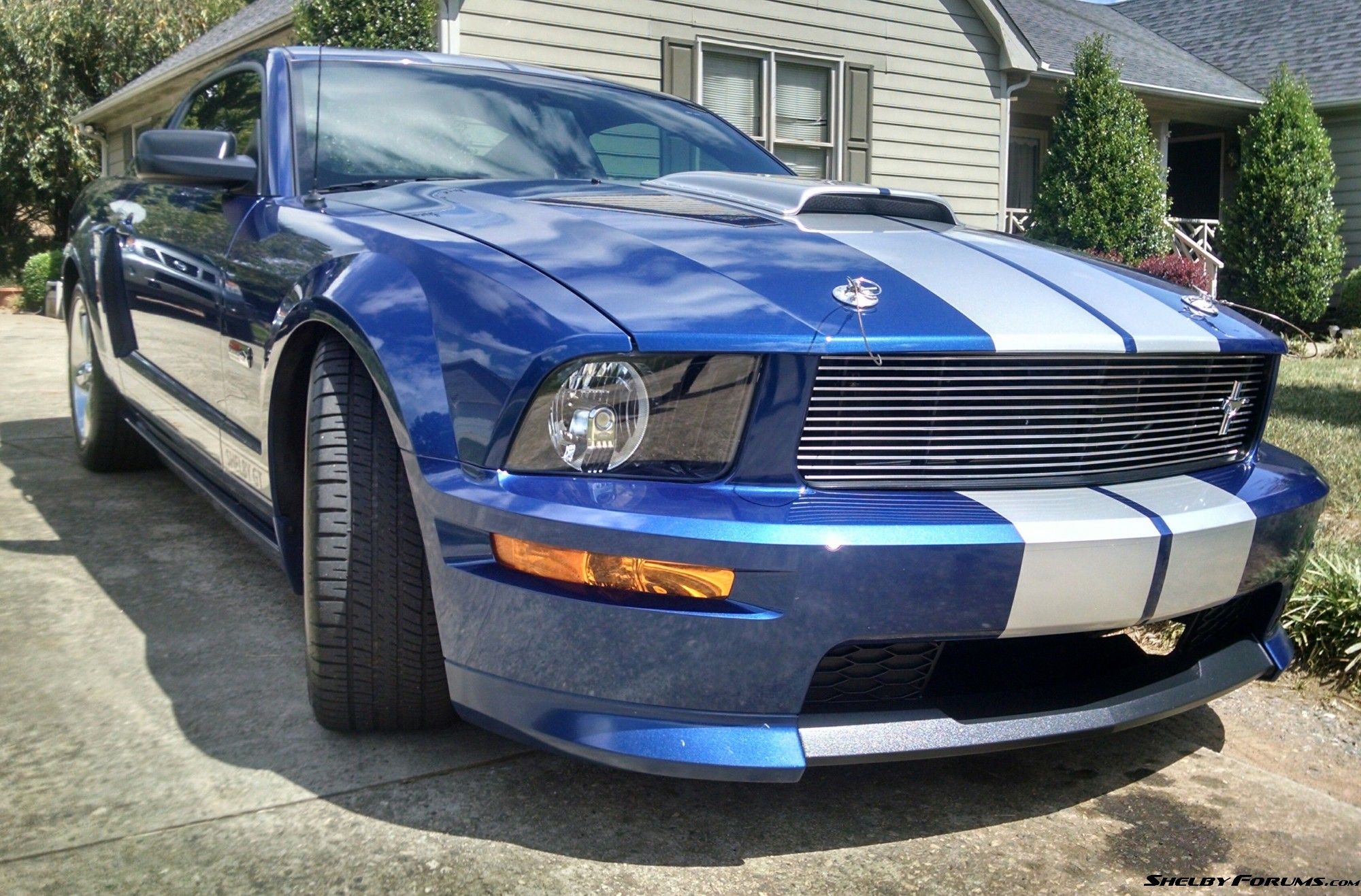 08 Shelby