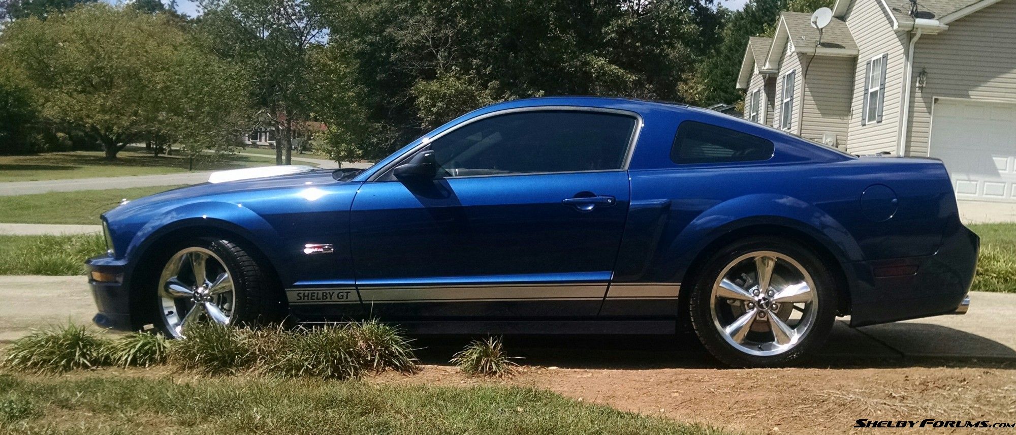08 Shelby