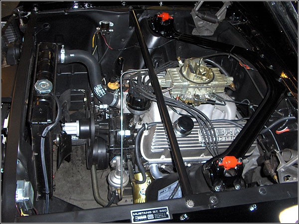 1965 Shelby GT350 Clone