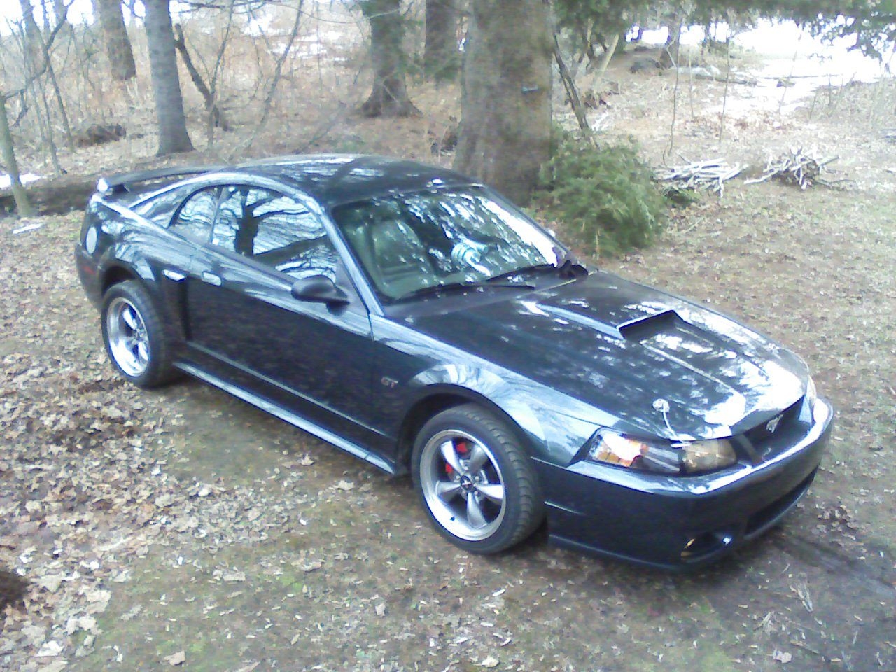 1999 GT