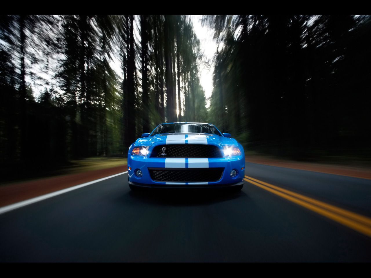 2010 Shelby Gt500