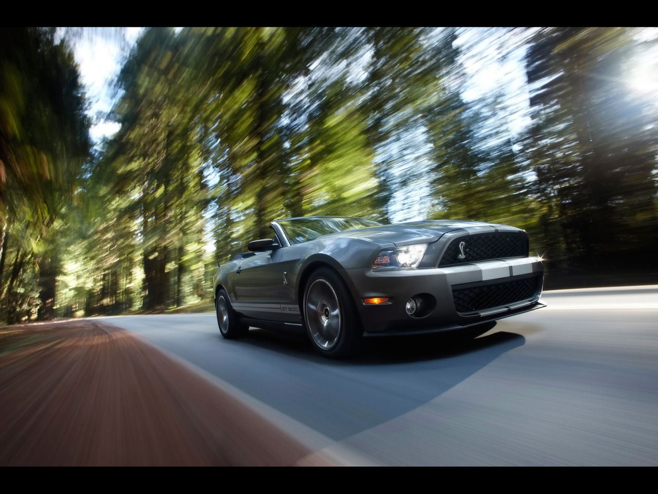 2010 Shelby Gt500