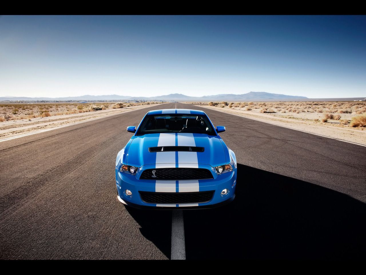 2010 Shelby Gt500